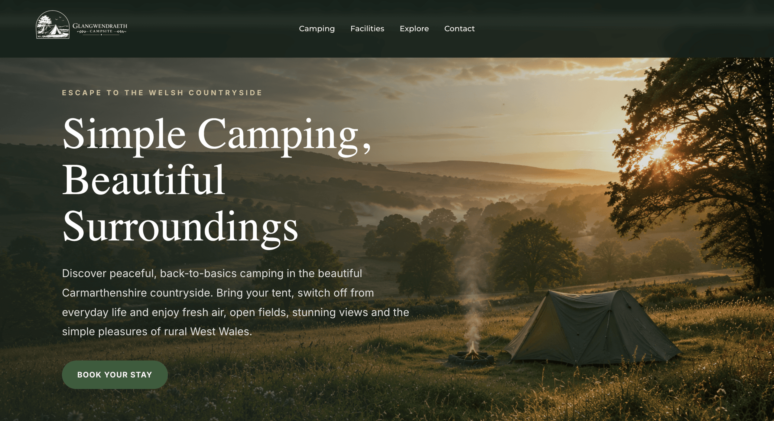 Website design example by Amaria Digital